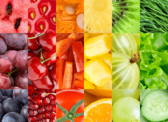 Seguridad Alimentaria