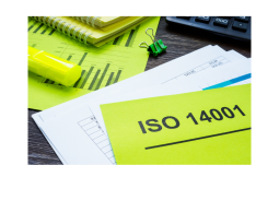 Certificación ISO 14001: ¿Qué es y por qué es útil para las empresas?